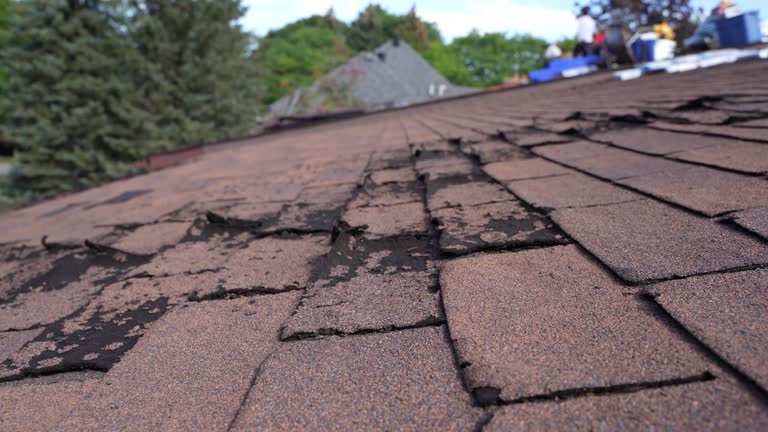 Best Roof Moss and Algae Removal  in Itta Bena, MS